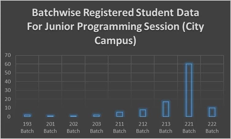 Junior Programming Session