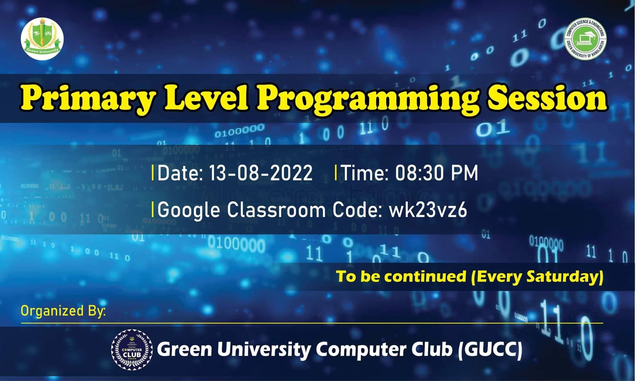 Primary Level Programming Session